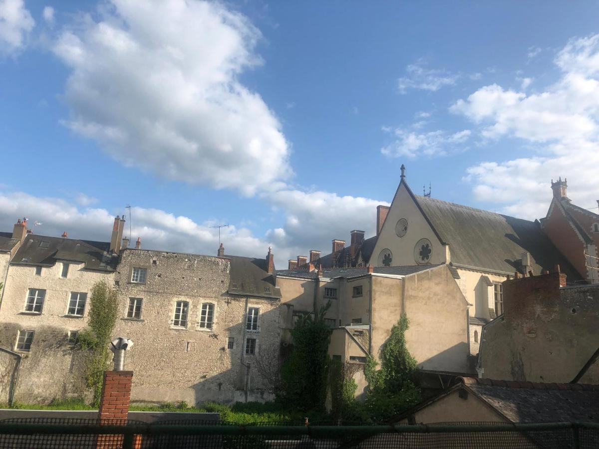 Cote Chateau - Grand Appartement Au Coeur De Blois Buitenkant foto