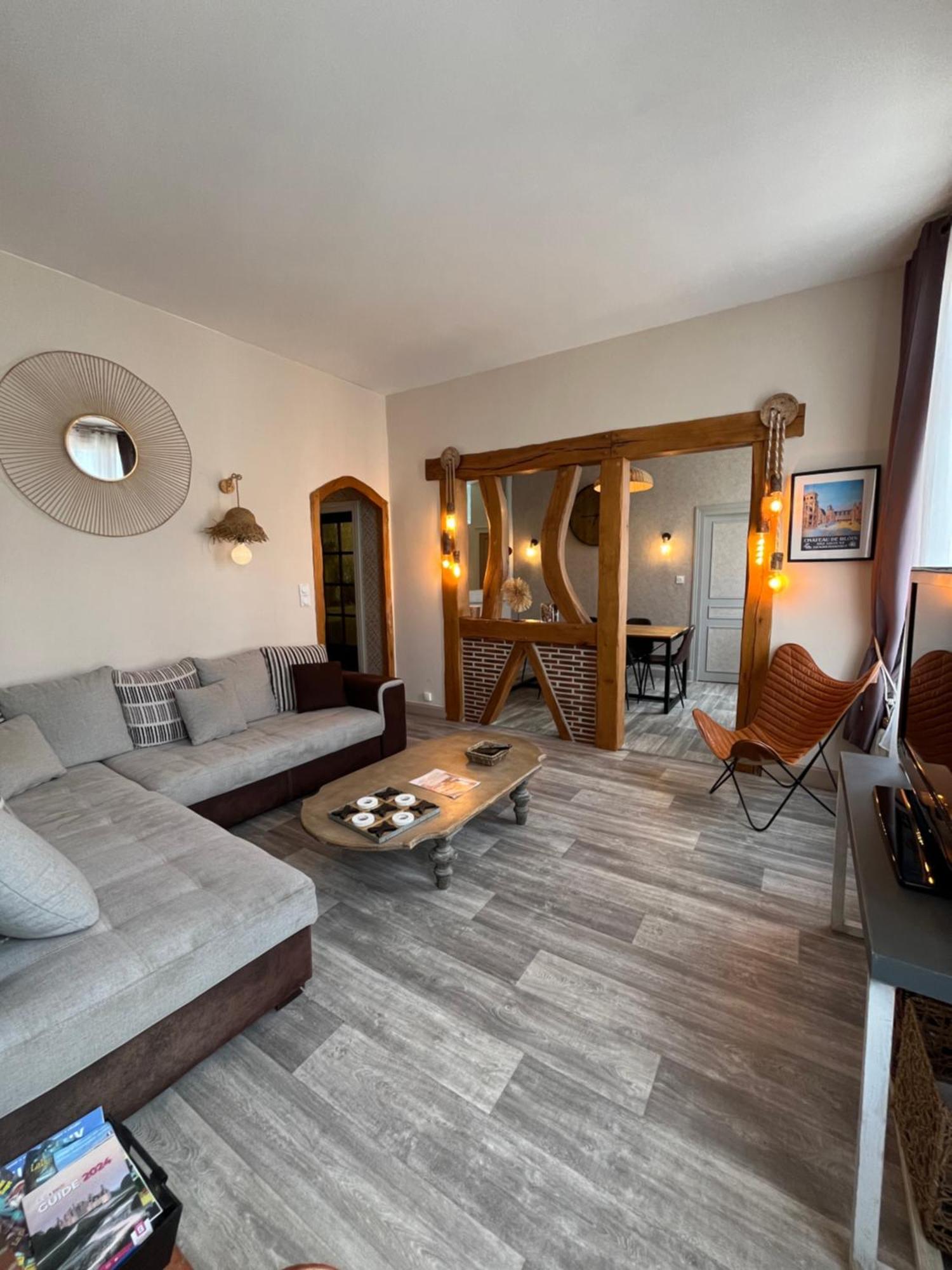 Cote Chateau - Grand Appartement Au Coeur De Blois Buitenkant foto